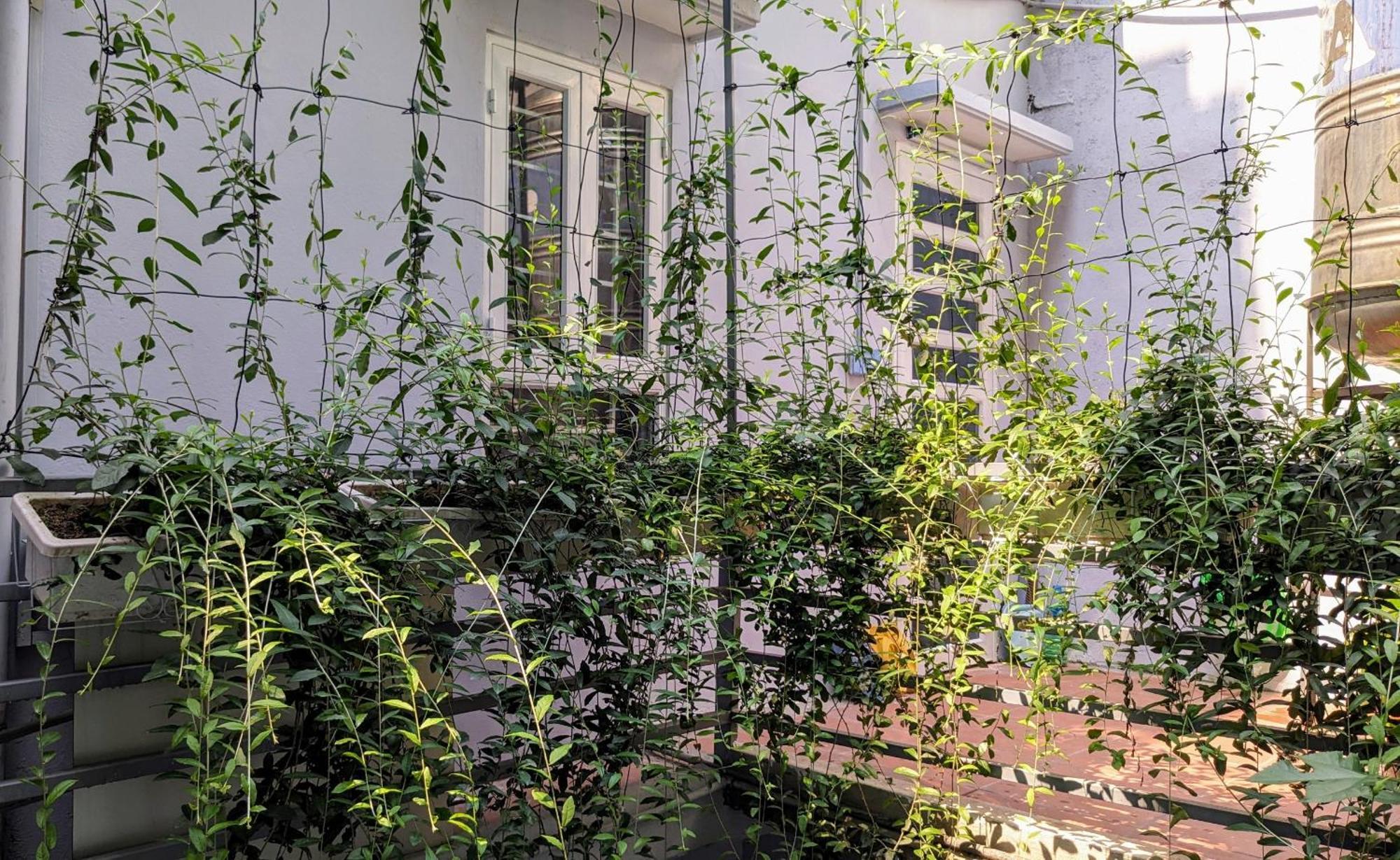 Goc Nho Ha Noi Homestay ฮานอย ภายนอก รูปภาพ